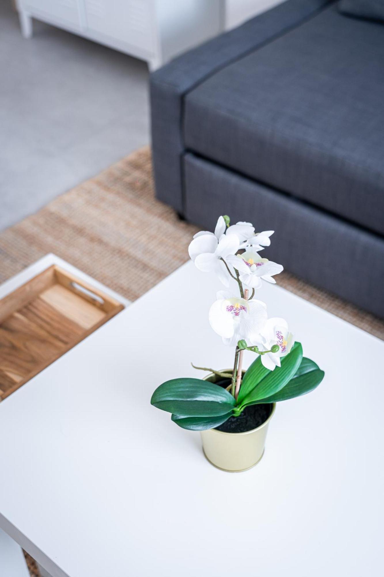Le Cool Plex Duplex Avec Jardin, Disney 10Mn Esbly Esterno foto